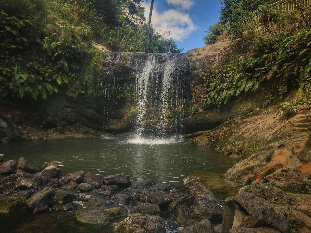 Five Hidden Gems in Auckland to Explore With Your Family