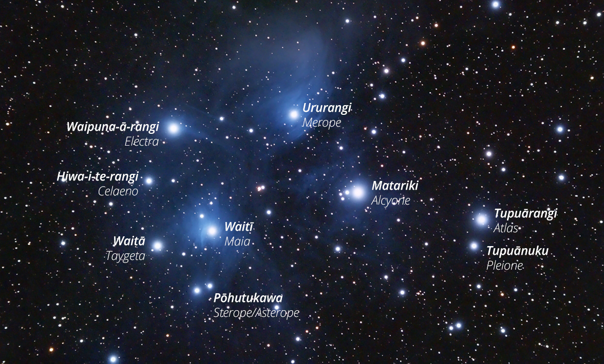 Celebrate Matariki with Kids: Our Top 5 Matariki Activities and Crafts for Families!