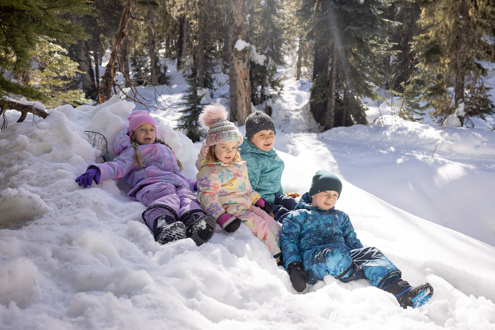 2025 Snowrider